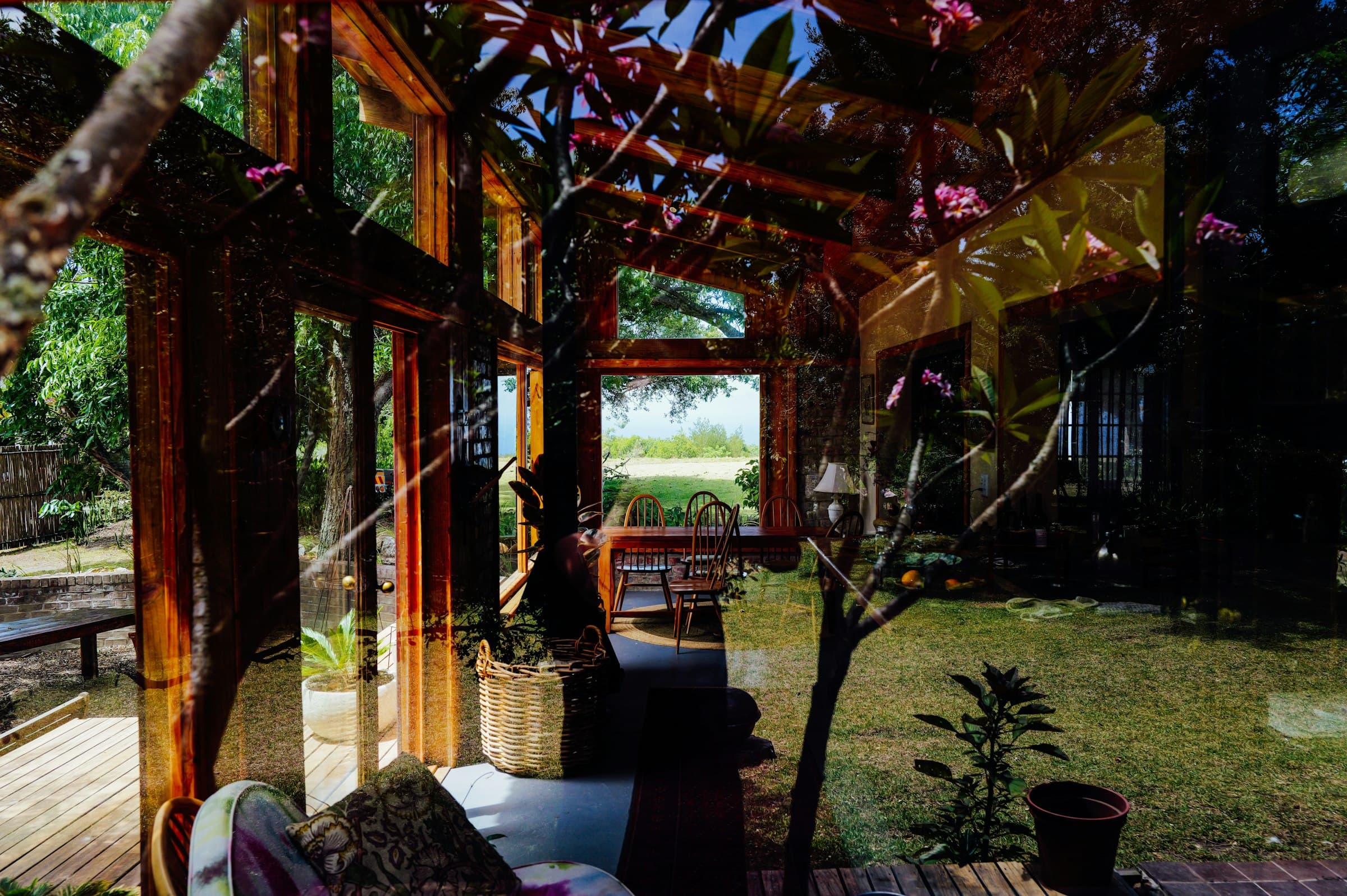 A wooden garden studio with glass walls and a door, opening onto greenery in daylight.